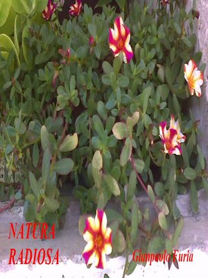 cover image of Natura radiosa